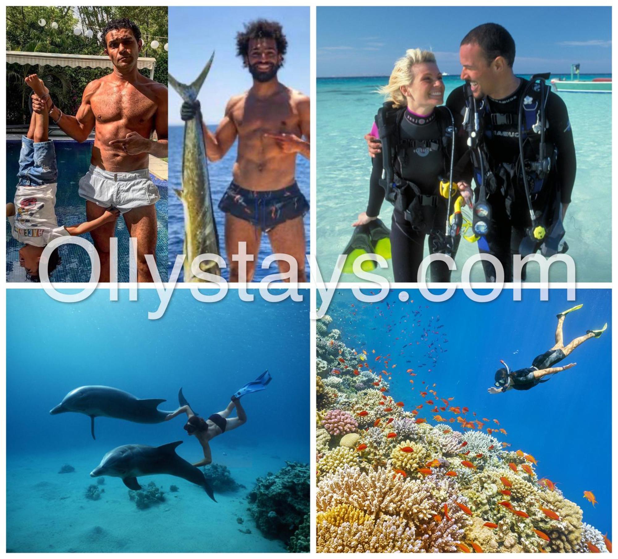 Ollystays Mangroovy Seaview 1Br Beach And Pool Free Access Hurgada Dış mekan fotoğraf